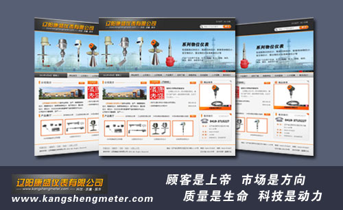 遼寧遼陽康盛儀表有限公司