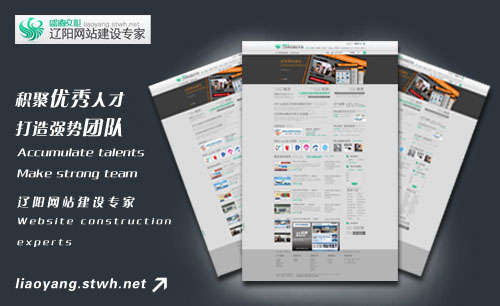 遼寧遼陽(yáng)網(wǎng)站建設(shè)專家鳳舞九天設(shè)計(jì)傳媒網(wǎng)絡(luò)