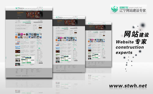 遼寧網(wǎng)站建設(shè)專家鳳舞九天設(shè)計(jì)傳媒網(wǎng)絡(luò)