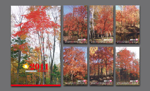 遼寧遼陽燈塔市財(cái)政局臺歷Ⅱ