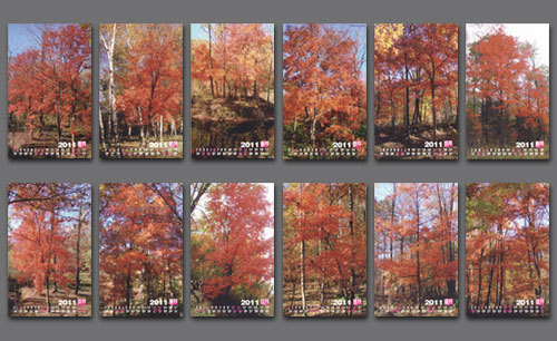 遼寧遼陽燈塔市財(cái)政局臺歷Ⅱ