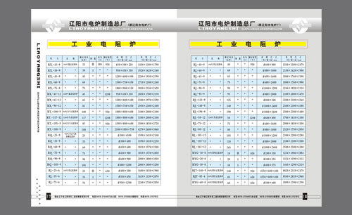 遼寧遼陽(yáng)市電爐制造總廠產(chǎn)品樣本第17-18頁(yè)