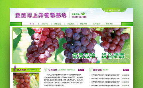 遼寧遼陽(yáng)市上升葡萄基地