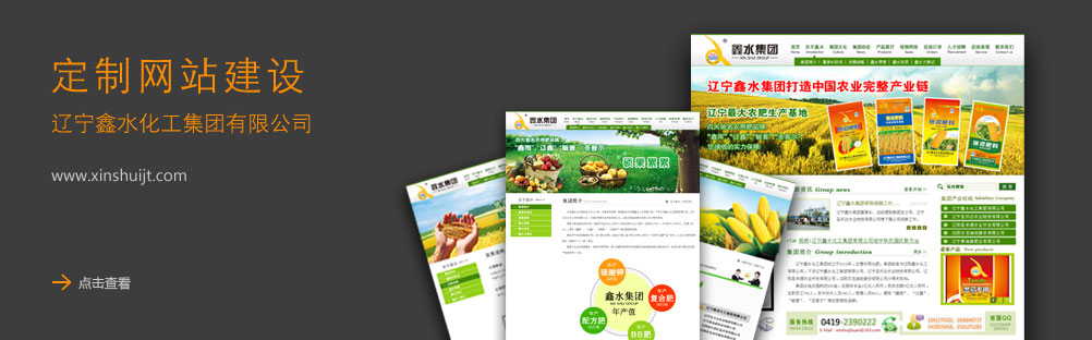 營口網(wǎng)站建設-鑫水集團