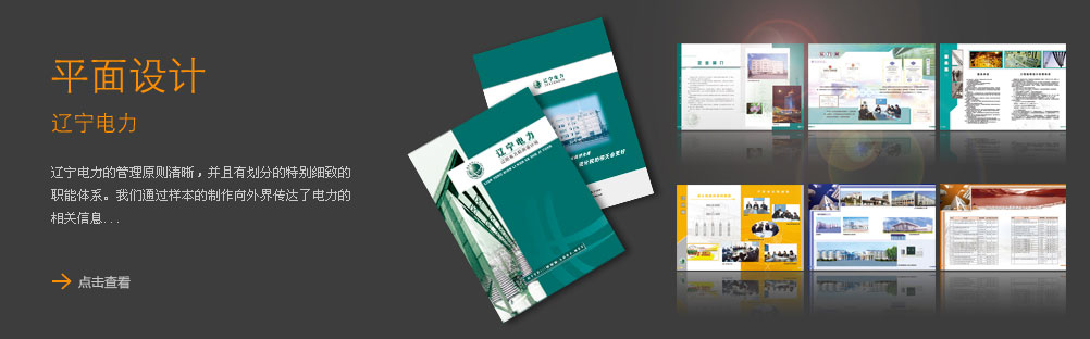 遼寧電力宣傳冊