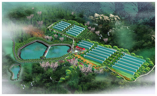 遼寧遼陽暢窿花卉1期規(guī)劃設計
