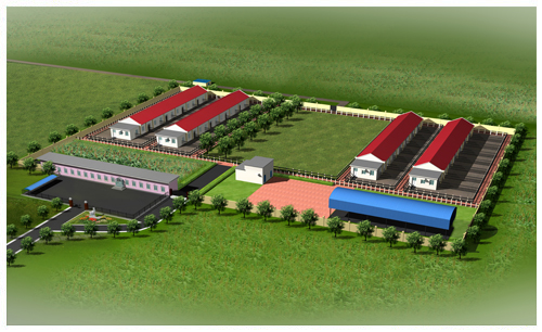 遼寧省種羊生產(chǎn)性能測(cè)定中心（省科研辦公室）