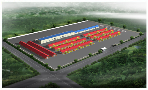 遼寧遼陽(yáng)瑞升豬業(yè)基地