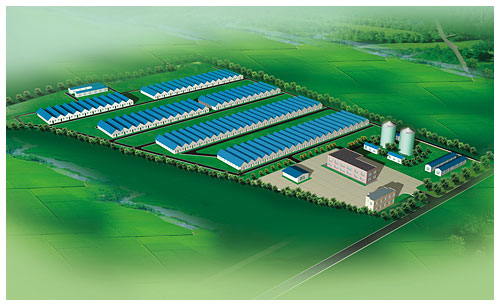 遼陽安康良種豬繁育基地規(guī)劃設(shè)計