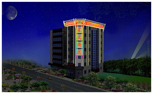 遼陽星火量亮化工程